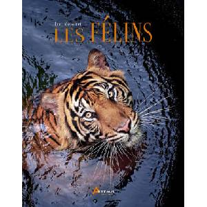 Les félins | Ménoret (2025)
