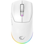 Rampage Prote M5 PRO Pixart PAW3395 (41247)