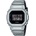 Casio GM-5600YM-8