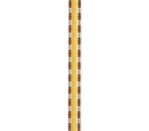 Rendl G13798