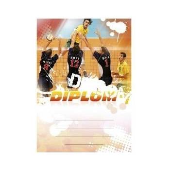 Diplom 6636