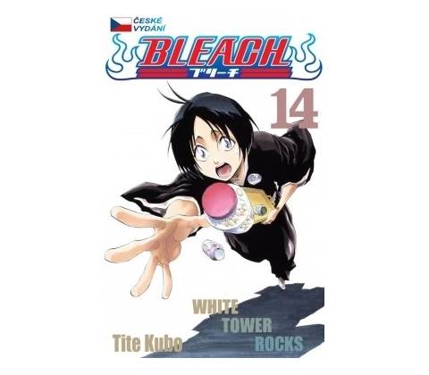 Bleach 14: White Tower Rocks