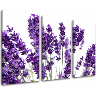 Obraz na stenu KVETY - 60x40