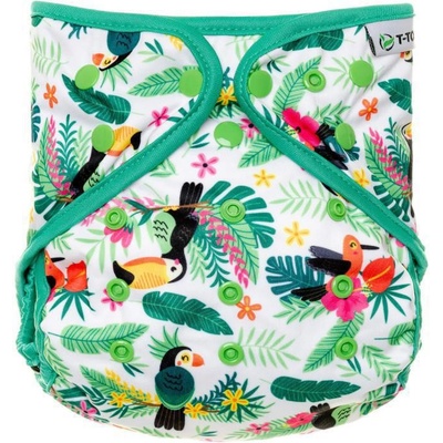 T-tomi PAT Parrots
