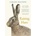 Raising Hare - Chloe Dalton