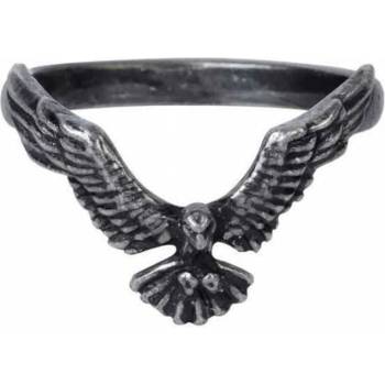 Image 1 of Alchemy gothic Пръстен alchemy gothic - Равенет - r232