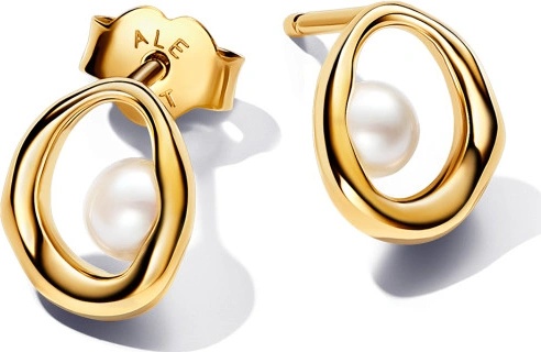 Pandora 263295C01