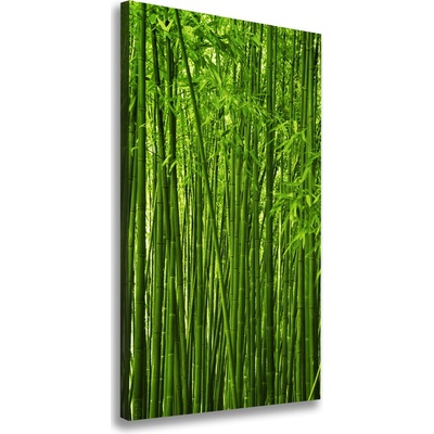 Vertikálny foto-obraz canvas do obývačky Bambusový les 50x100 cm