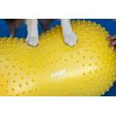 FitPAWS Balanční plošina pro domácí mazlíčky Trax Peanut 40 cm žlutá
