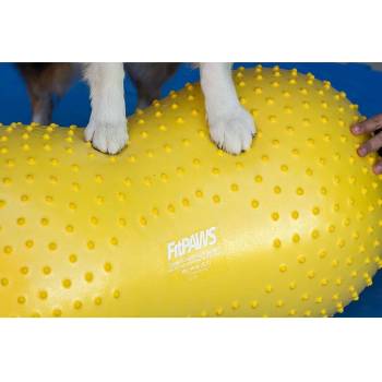 FitPAWS Balanční plošina pro domácí mazlíčky Trax Peanut 40 cm žlutá