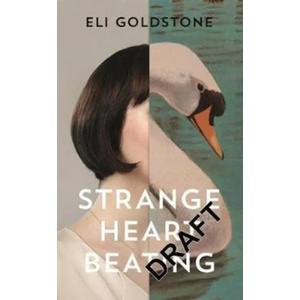 Strange Heart Beating | Eli Goldstone (ISBN: 9781783783502)