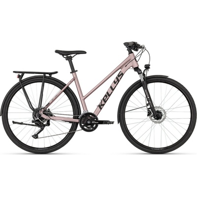 Kellys Cristy 50 2026
