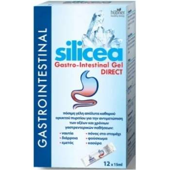 HÜBNER Хранителна добавка Силиций сашета , Hubner Silicea Gastro Intestinal Gel 12x15ml