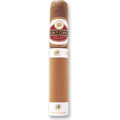 Flor de Copan Rothschild 1 ks