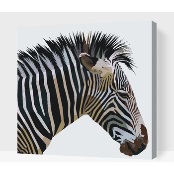 Vymalujsisam Maľovanie podľa čísiel Kubistická zebra