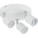 TK lighting 6316