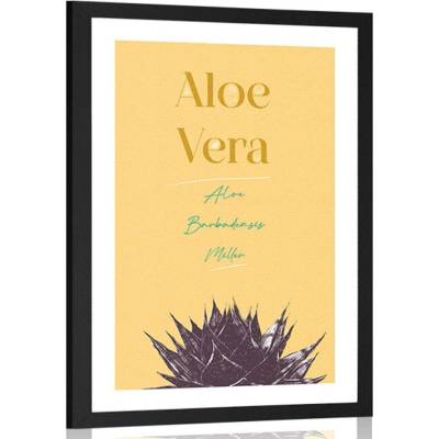 Plakát s paspartou a stylovým nápisem Aloe Vera - 60x90 no frame