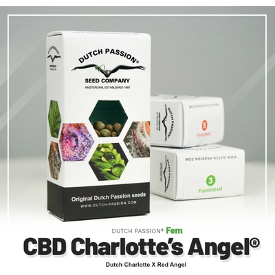 Dutch Passion Charlotte's Angel CBD semienka neobsahujú THC 5 ks