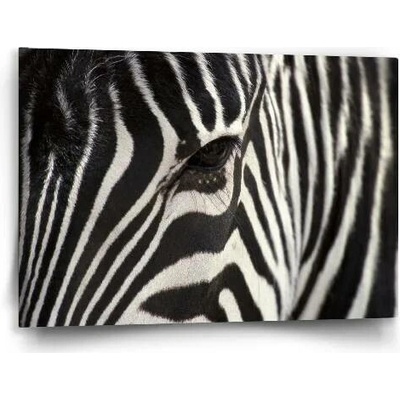 Sablio Obraz Detail zebra - 60x40 cm