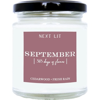 Image 1 of With Scent of Books Ароматна свещ Next Lit 365 Days of Flames - September (NL034)