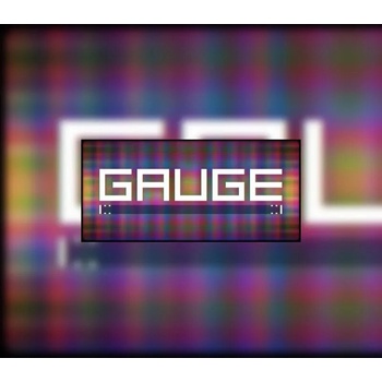Gauge