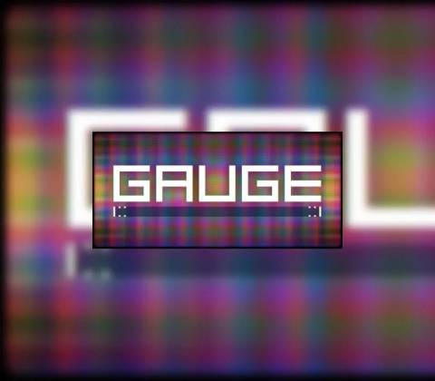 Gauge