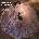 Miranda Cuckson - Goodyear: Solo - A Suite For Solo Violin (LP) (766234848039)