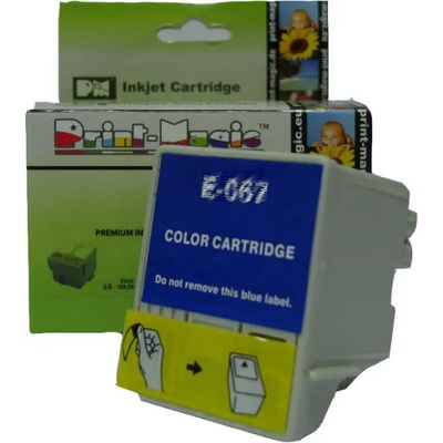 Compatible Epson T018