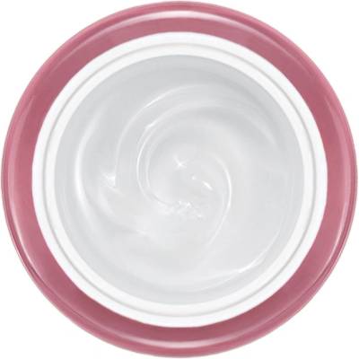 Ruscona AiO gel na nehty 15 ml