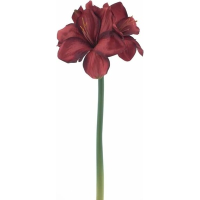 Amarylka větvička „Rabat“ červená 40 cm