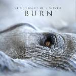Mystic Production Lisa & Jules Maxwell Gerrard: Burn - CD (095957)