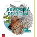 Severská divočina