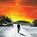 NELSON, WILLIE - A Beautiful Time CD