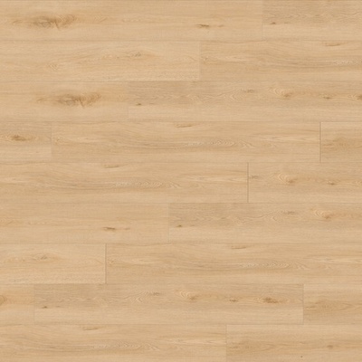 Gerflor Creation 55 Clic Aquinoah Blond 1704 1,84 m²