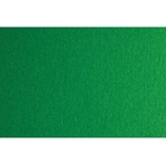 Fabriano Картон Colore, 70 x 100 cm, 140 g/m2, № 231, зелен (43303231/100_VERDE)