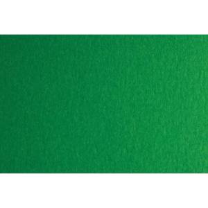 Fabriano Картон Colore, 70 x 100 cm, 140 g/m2, № 231, зелен (43303231/100_VERDE)