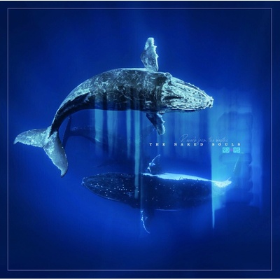 The Naked Souls - Reverb From The Depths 2 LP