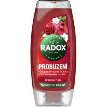 Radox Awakening Pomegranate And Apricot Blossom Shower Gel освежаващ душ гел 225 ml за жени