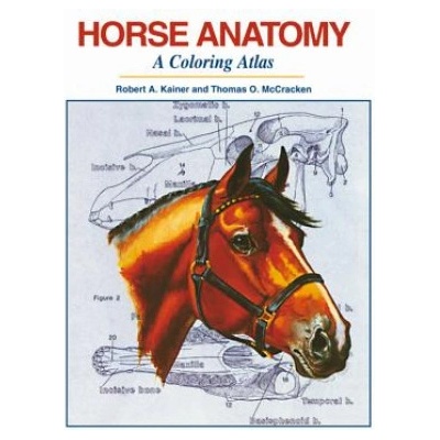 Horse Anatomy: A Coloring Atlas Kainer Robert A.Spiral
