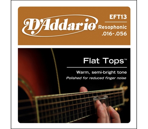 D'addario EFT13