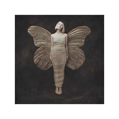 All My Demons Greeting Me As a Friend - Aurora LP