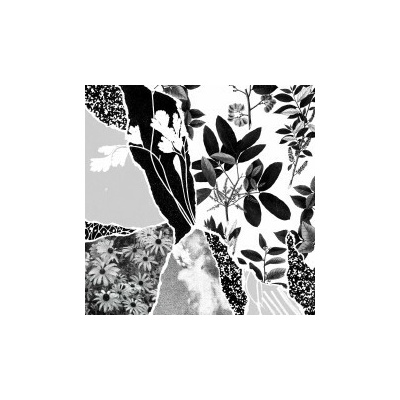 Ponctuation - Mon Herbier Du Monde Entier CD