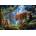 Educa - Puzzle Tigers in the tree - 1 000 piese