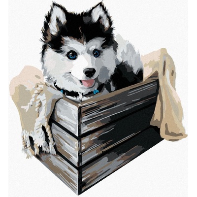 Malování podle čísel Husky v krabici