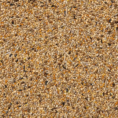 Deli Nature 84 APV Gould 4 kg
