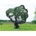 Nortene Плетена мрежа срещу птици PRONET PE 5x12м 120112