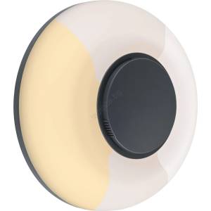 Paulmann 94955 - LED/20, 5W IP65 Димируемо външно стенно осветително тяло AUREVA 230V (W4968)