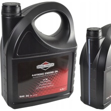 Briggs & Stratton SAE 30 5 l
