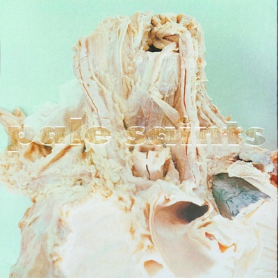 PALE SAINTS - IN RIBBONS CD