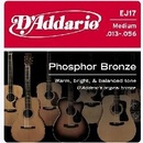 D'addario EJ17